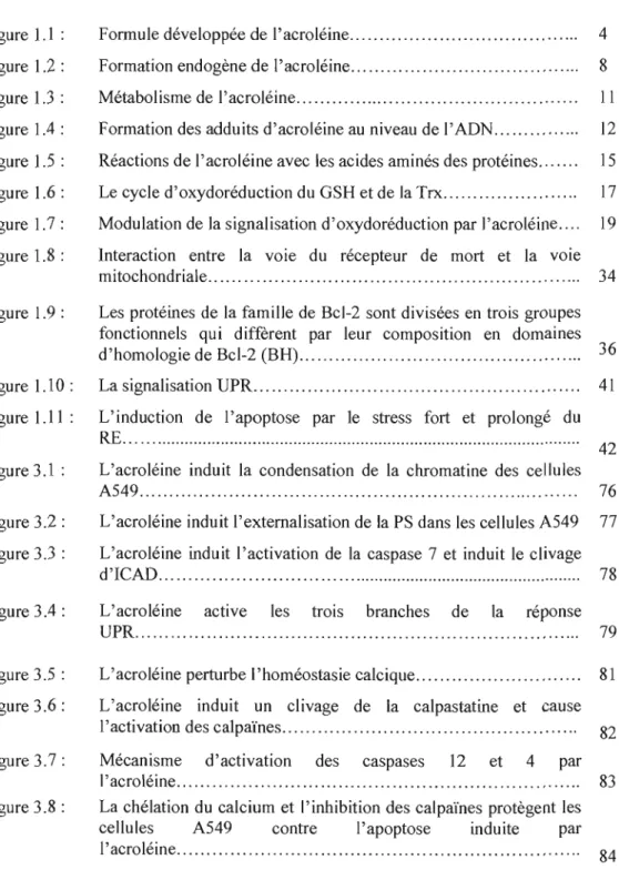 Figure  1.1  :  Figure  1.2  :  Figure  1.3  :  Figure  1.4  :  Figure  1.5  :  Figure  1.6  :  Figure  1.7 :  Figure  1.8 :  Figure  1.9  :  Figure  1.10  :  Figure  1.11  :  Figure 3.1  :  Figure 3.2 :  Figure 3.3  :  Figure 3.4 :  Figure 3.5  :  Figure 