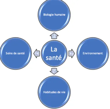Figure  1:  Concept  global  de  santé  [32].  