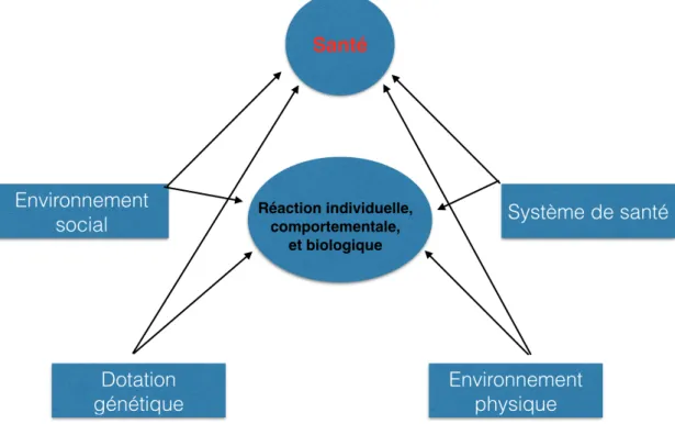 Figure  2  :  Les  déterminants  dans  la  classification  d'Evans  simplifiée  [41].  