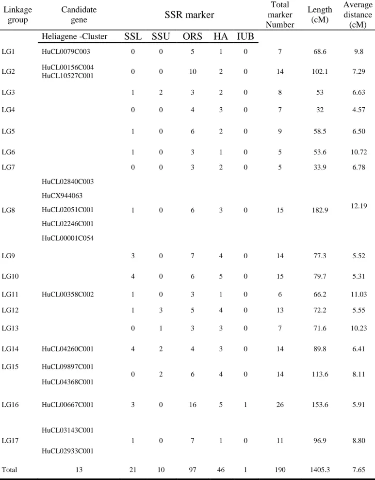 Table 3.5:  The distribution of SSR markers and candidate genes among the 17 linkage groups in sunflower  recombinant inbred lines  