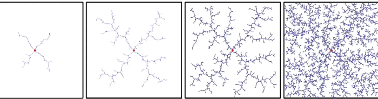 Figure 2.3 – ´ Evolution d’un arbre couvrant l’espace libre par la m´ethode RRT.