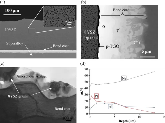 Fig. 2. (a) Microstructure of an SPS-fabricated TBC (sample A). (b) microstructure with phase labeling of a bond coating made at 1100 °C during 10 min with 50 MPa during SPS.