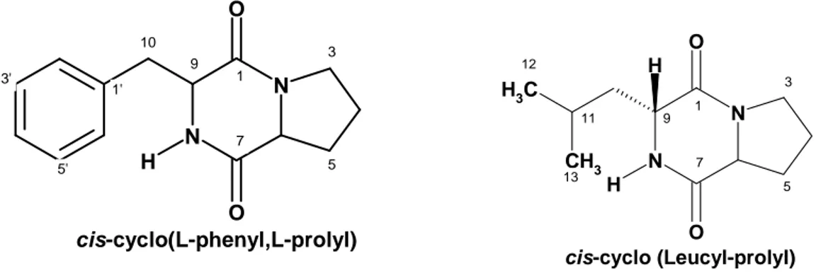 Figure 3. Structure chimique de deux dérivés de DKP : cis cyclo (L-Phe, L-Pro) et                                cis cyclo (L-Leu, L-Pro) (Mehdi Ben Ameur et al., 2006) 