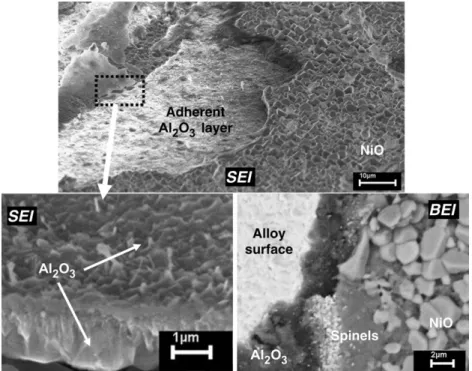 Fig. 5. Micrographs showing the oxide scale spallation on the MCNG isothermally oxidized for 100 h at 1100 °C, after scratch test (upper image); the lower left image shows the fractured continuous internal alumina layer; the lower right image indicates an 