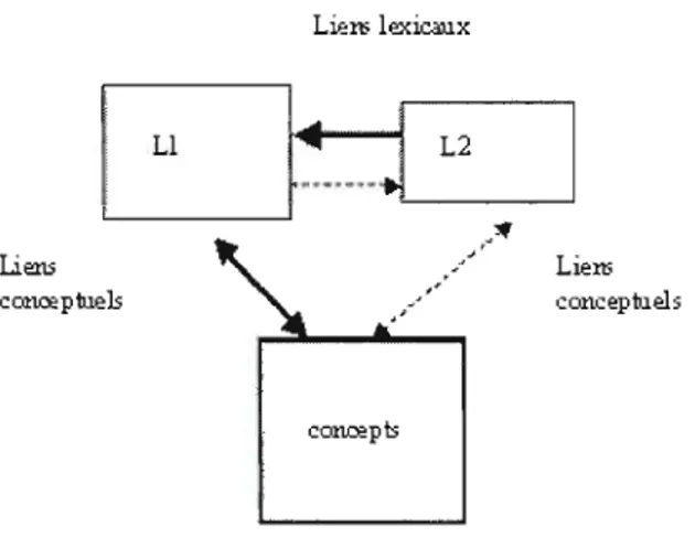 Figure  2.1  Le  modèle  de  Kroll  et  Stewart.  (Schéma  adapté  du  modèle  de  Kroll  et  Stewart (1994) et  Kroll  et Tokowicz (2001))