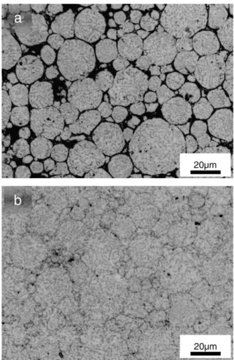 Fig. 3 shows TEM observations performed on a specimen cut from the bulk of the material obtained after SPS fabrication