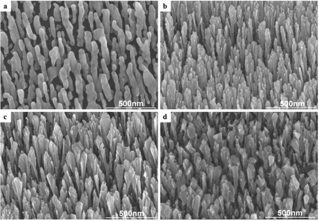Fig. 8 SEM images of the deposited metals with an incident angle of 88 ◦ : (a) Ag, (b) Au, (c) Pd, and (d) Ni