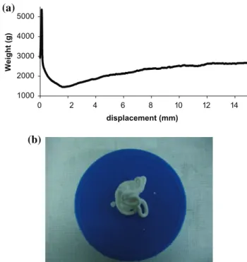 Fig. 8. Evaluation of the injectability of the paste at room temperature: (a) force measured, expressed as a weight to be applied to the piston, to extrude the paste as a function of the syringe piston displacement; (b) photograph of the paste after extrus