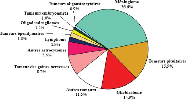 Figure 1 : Répartition des tumeurs du SNC dans la population, selon les  données du CBTRUS (3)