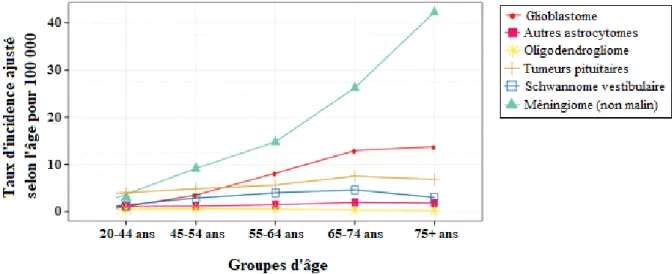 Figure 2 : Taux d’incidence ajustés à l’âge des tumeurs du SNC, d’après les  données du CBTRUS, Ostrom et al