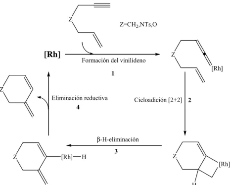 Figura 11. Ciclo catalítico de una enina por un complejo de Rh, pasando por un vinilideno