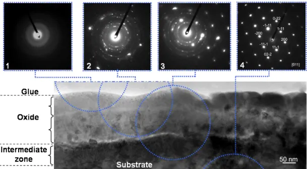 Figure 3. Cross section TEM bright field image of the oxide scale and diffraction patterns (labelled  1 to 4) from four different locations indicated with dotted circles
