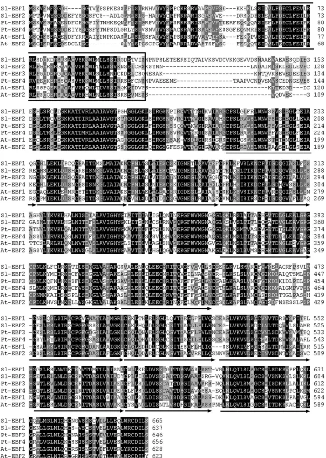 Fig. 1. Sequence analysis of Sl-EBF1 and Sl-EBF2. The amino acid sequences of tomato Sl-EBF1 and Sl-EBF2, Arabidopsis At-EBF1 and At-EBF2, and poplar Pt-EBF3 and Pt-EBF4 were aligned using the ClustalX (2.0.10) program