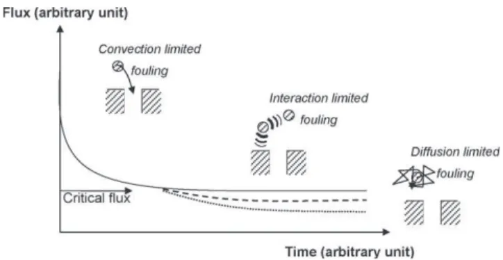 Fig. 7. Schematic representation of flux versus time curves in cases of an ideally stable situation (dotted line) and of metastable dispersions of colloids, in cross-flow suspension