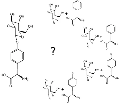 Figure 2.5: Dans le cas de ce dimère, un sucre est lié à une Hydroxy-Phenil-Glycine (Hpg).