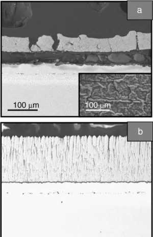 Fig. 2. Evolution of the surface fraction of cracks and spalls versus the number of 1 h oxidation cycles at 1150 °C in laboratory air.