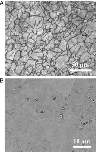 Fig. 3 shows the microstructure of the material after heat treating for 10 h at 900 °C and then quenching to RT