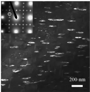 Fig. 10 – TEM dark field images of the samples heated up to 980 °C, held 1 s and cooled at 10 K/min.
