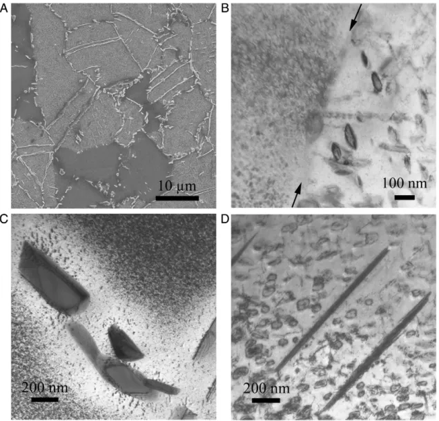 Fig. 13 – The microstructure of sample held 1 s at 1000 °C and then cooled at 10 °C/min is observed by SEM (SE detector) (A) and TEM (B –D)