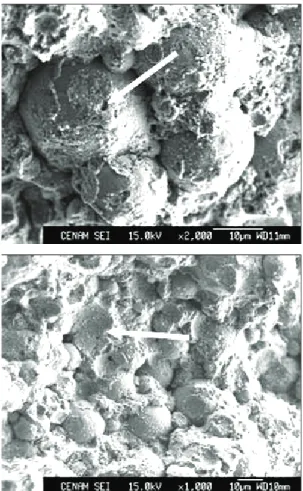 Fig. 6    Fracture surface of NiCoCrAlY-Ta sintered sample  at 900 °C. 