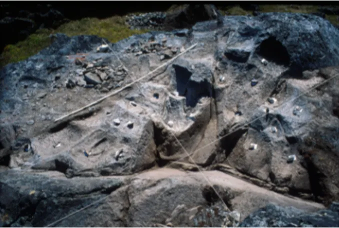 Figure 5 : Vue en plongée d’une portion du secteur B excavée en 2001. Ce travail  archéologique a permis de mettre au jour une quarantaine de zones d’extraction de  stéatite inédites (marquées chacune ici par une pierre et une fiche d’enregistrement  placé