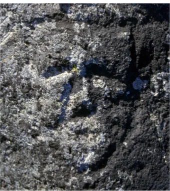 Figure 7 : Exemple de visage gravé à caractère humain à Qajartalik; à noter  l’apparence triste du personnage, rappelant vaguement le « Pierrot qui pleure » du 