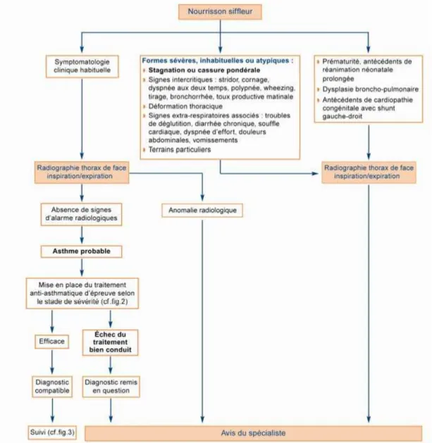 Figure 4. Démarche diagnostique et prise en charge initiale de l’asthme de l’enfant de moins  de 36 mois selon les recommandation de la HAS en 2009 (1) 