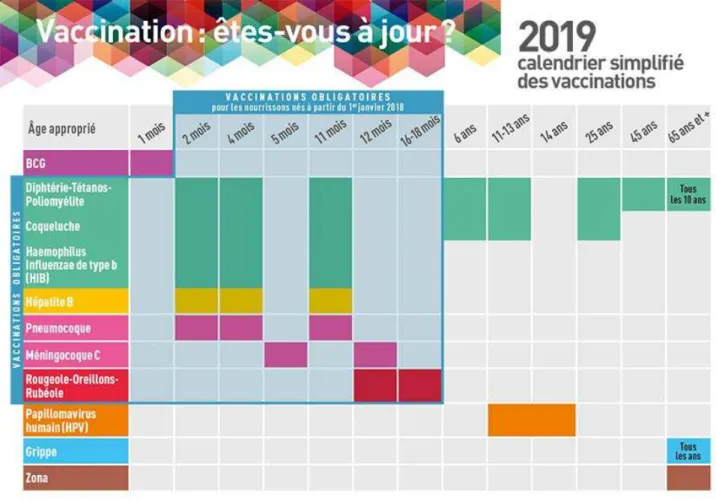 Figure 12. Calendrier vaccinal 2019 selon les recommandations de l’INPES (77)