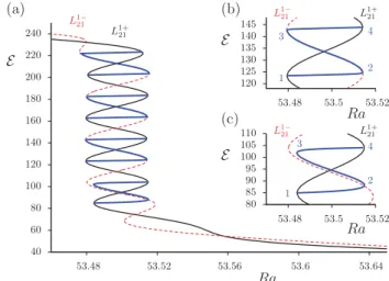 FIG. 19. Bifurcation diagram showing the branches P n 共n苸关16,24兴兲 of pe- pe-riodic states as a function of the Rayleigh number Ra