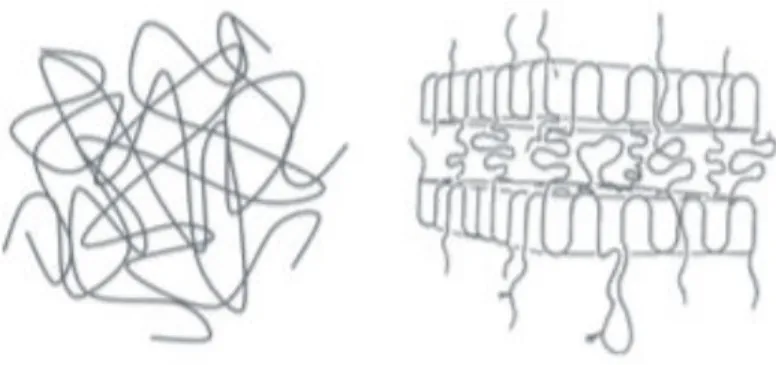Figure 4 : Structure amorphe d’un polymère à gauche appelée pelote statique et structure semi- semi-cristalline lamellaire d’un polymère à droite, T Borgnia (6)
