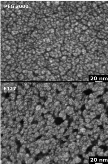 Fig. 9 SEM images of the top surface of a glass plate coated with a TiO 2 sol containing PEG 2000 (top) and Pluronic F127 (bottom)