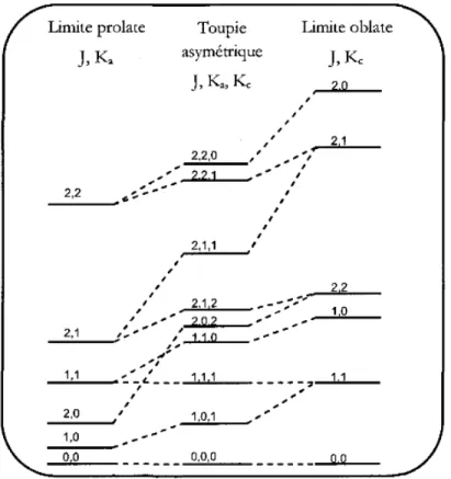 Figure 1.3 – Diagramme de corrélation entre les deux limites de toupies symétriques [9]