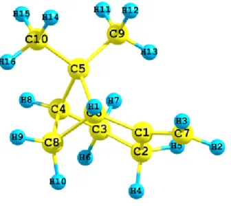 Figure 4.4 – La structure ab initio à l’équilibre du β-pinène calculé au niveau MP2/6- MP2/6-311++G(d,p).