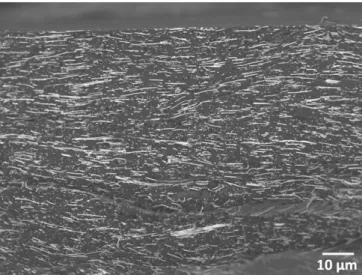 Figure 2. SEM image of the cryofractured surface of Au NW/P(VDF-TrFE) nanocomposites with 7.7 vol% Au content.