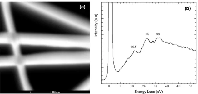 Figure 3. (a) HAADF image of Au NWs and (b) VEEL spectrum of Au NWs.