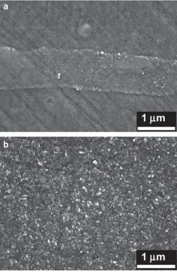 Fig. 2 shows an FEG-SEM image of the surface of the samples oxidised for 50 and 1000 h