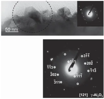 Fig. 4. Cross section TEM bright ﬁeld image of the oxide scale after 50 h (a) and 1000 h (b) of oxidation.