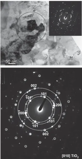 Fig. 7. Cross section view and composition proﬁles for the elements listed in the graph after two series of EDS spot analyses of the scale and subscale.