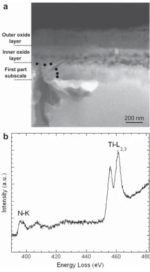 Fig. 8. a) STEM HAADF image of the sample oxidised for 50 h; b) Ti–L 2,3 and N–K edge spectrum in the oxide layer at the interface with the subscale region (locations shown