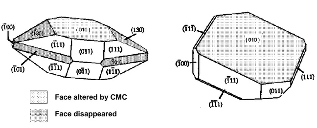 Figure 1. Sketch of potassium hydrogen tartrate crystals with and without CMC. 