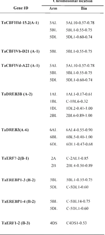 Table 3 (continued)  Gene  li&gt;  TnCBFllld-15.2(A-I)  TaCBFIVb-D21  (A-I)  TaCBF1Vd-A22 (A-I)  TaDREB3B (A-2)  TaDREB3(A-6)  TaERF7-2(B-I)  TaEREBPI-J (H-2)  TaEREBPI-4 (B-2)  TaERFI-2 (B-3)  Chromosomal  location Arm 5AI