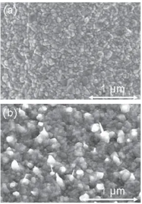 Fig. 5. SEM images of CuO nanowires: (a) from a 1- m m-thick thermal evaporated thin Cu ﬁlm and (b) from a 1- m m-thick electroplated Cu thin ﬁlm.
