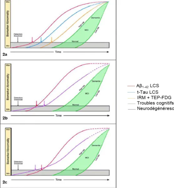 Figure 11 : Cinétique d’évolution des biomarqueurs de la maladie d’Alzheimer. 
