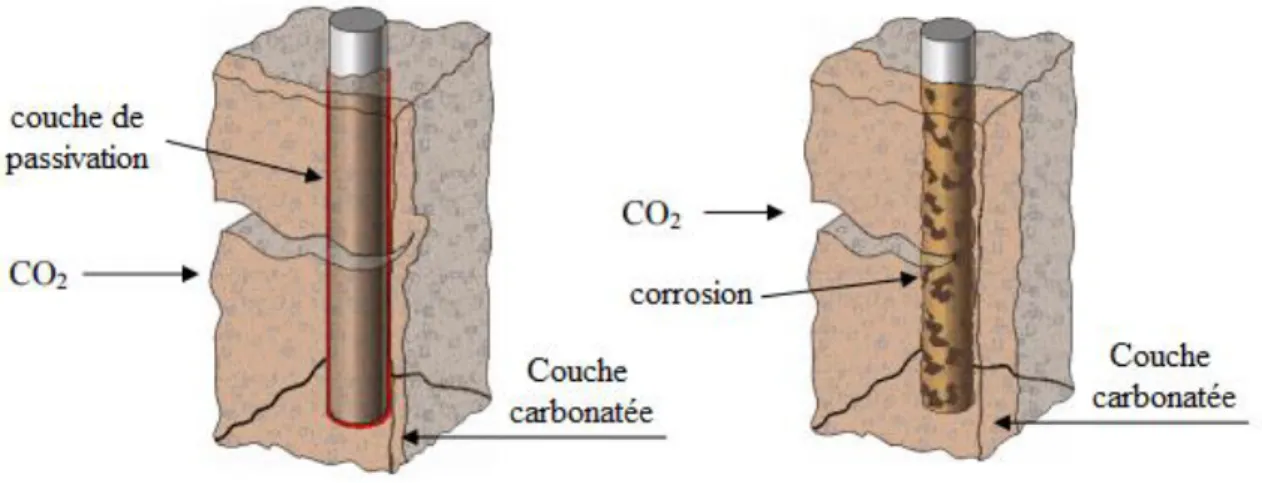 Figure 12.Représentation de l'avance de la carbonatation [66] 
