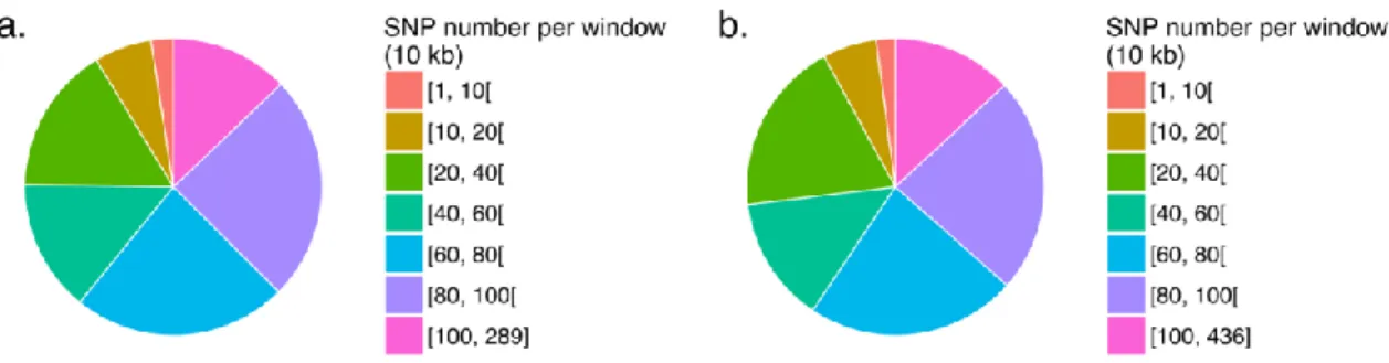 Figure 3.5 La majorité des fenêtres de 10 kb compte entre 10 et 100 SNPs.  