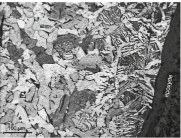 Fig. 3. TEM observation of the microstructure of the PM98 nail showing intricate pearlitic colonies (P) and ferritic areas (F) (limits are underlined).