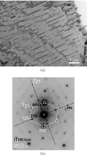 Fig. 4. Area of the PM98 nail dominated by pearlitic colonies with various orientations.