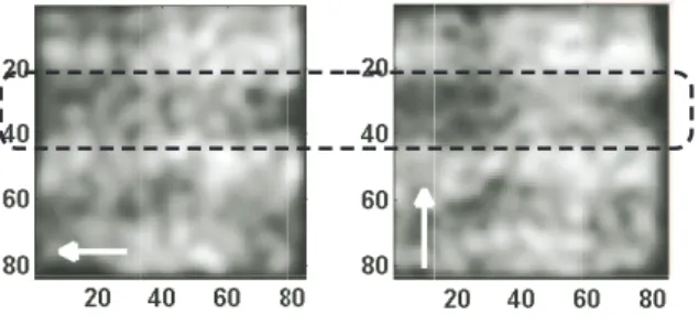 Fig. 3. Processed THz images (84 x 84 pixels or 21 x 21 mm 2 )
