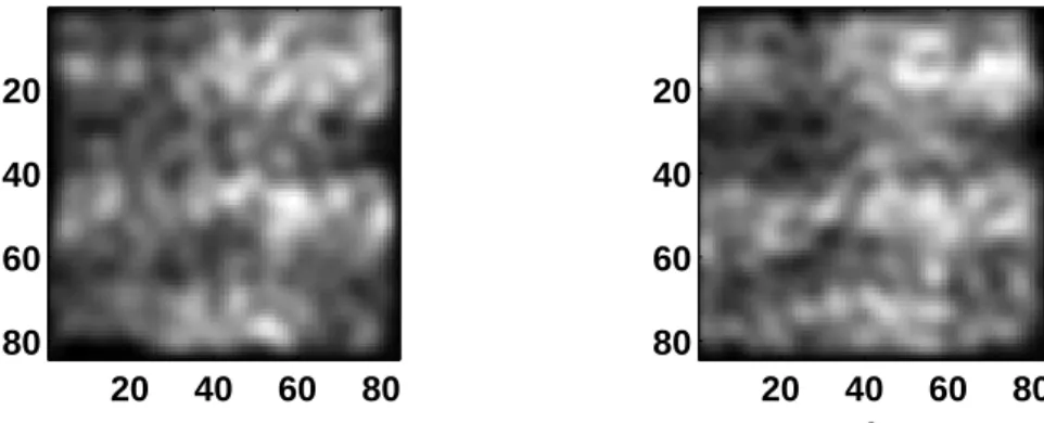 Figure 12. Processed images (84 x 84 pixels or 21 mm 2 )