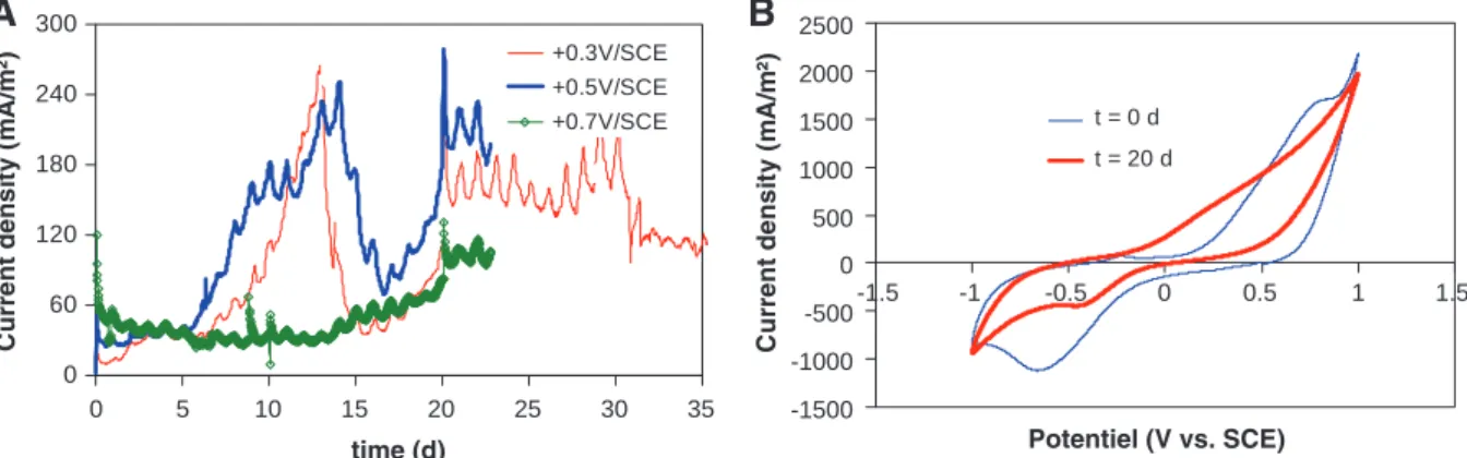 Fig. 1. Electroactivity in raw YW. (A) Chronoamperometry at poised potentials +0.3, +0.5 and +0.7 V/SCE